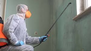 Best Black Mold Removal  in Coats Bend, AL